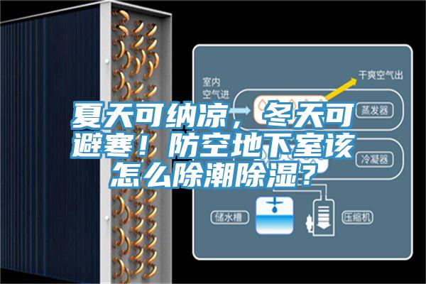 夏天可納涼，冬天可避寒！防空地下室該怎么除潮除濕？