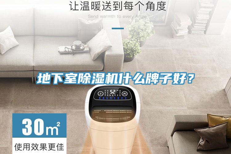 地下室除濕機(jī)什么牌子好？