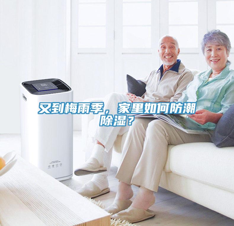 又到梅雨季，家里如何防潮除濕？