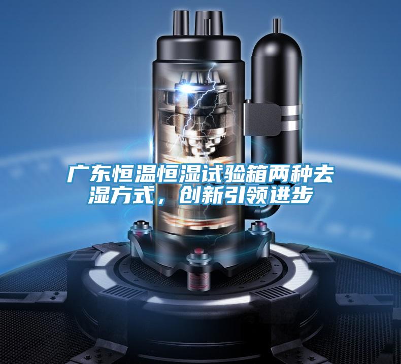 廣東恒溫恒濕試驗箱兩種去濕方式，創(chuàng)新引領進步