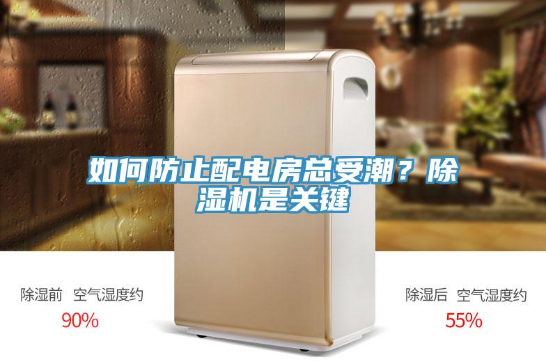 如何防止配電房總受潮？除濕機是關鍵