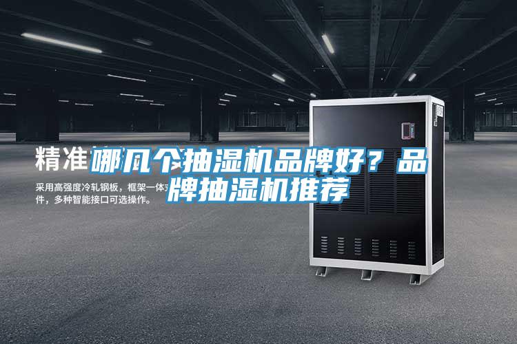 哪幾個抽濕機品牌好？品牌抽濕機推薦