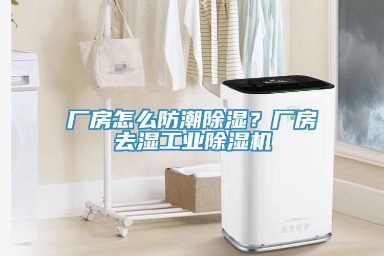 廠房怎么防潮除濕？廠房去濕工業(yè)除濕機
