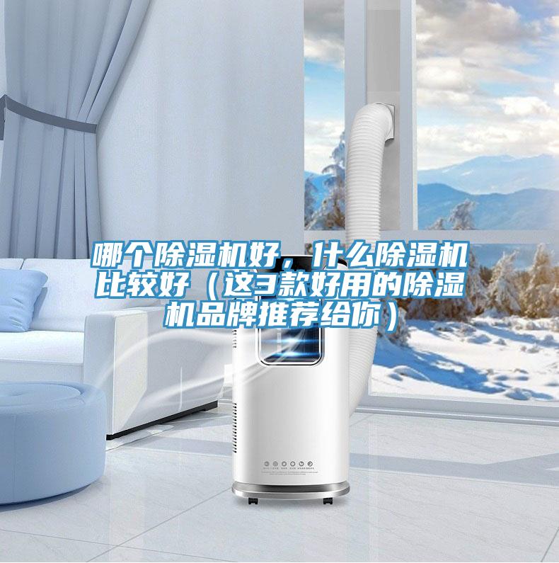 哪個除濕機好，什么除濕機比較好（這3款好用的除濕機品牌推薦給你）
