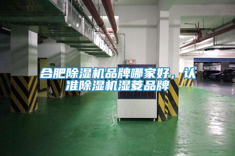 合肥除濕機(jī)品牌哪家好，認(rèn)準(zhǔn)除濕機(jī)濕菱品牌