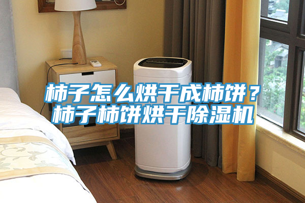柿子怎么烘干成柿餅？柿子柿餅烘干除濕機(jī)
