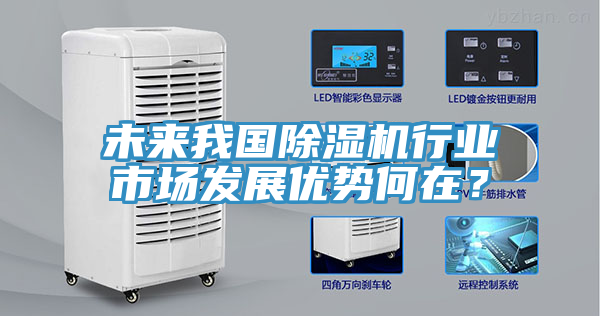 未來我國(guó)除濕機(jī)行業(yè)市場(chǎng)發(fā)展優(yōu)勢(shì)何在？