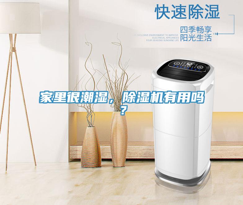 家里很潮濕，除濕機有用嗎？