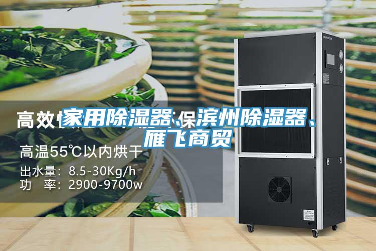 家用除濕器、濱州除濕器、雁飛商貿