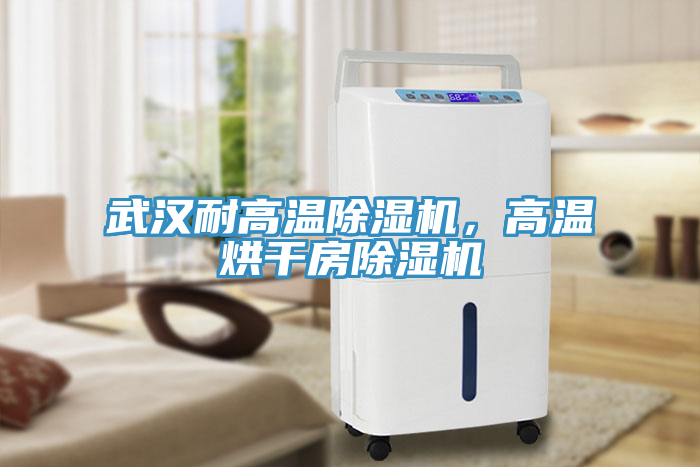 武漢耐高溫除濕機，高溫烘干房除濕機