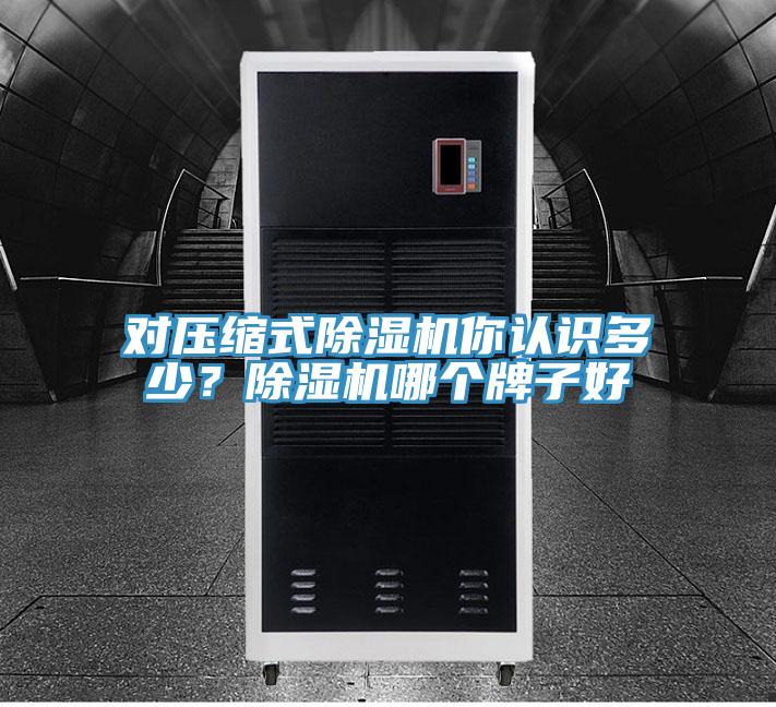 對(duì)壓縮式除濕機(jī)你認(rèn)識(shí)多少？除濕機(jī)哪個(gè)牌子好