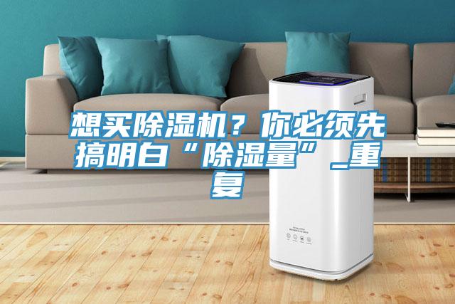 想買除濕機？你必須先搞明白“除濕量”_重復(fù)