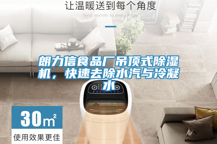 朗力信食品廠吊頂式除濕機(jī)，快速去除水汽與冷凝水