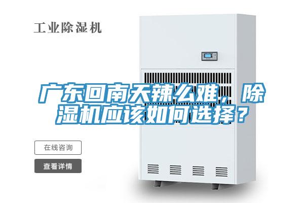 廣東回南天辣么難，除濕機應(yīng)該如何選擇？