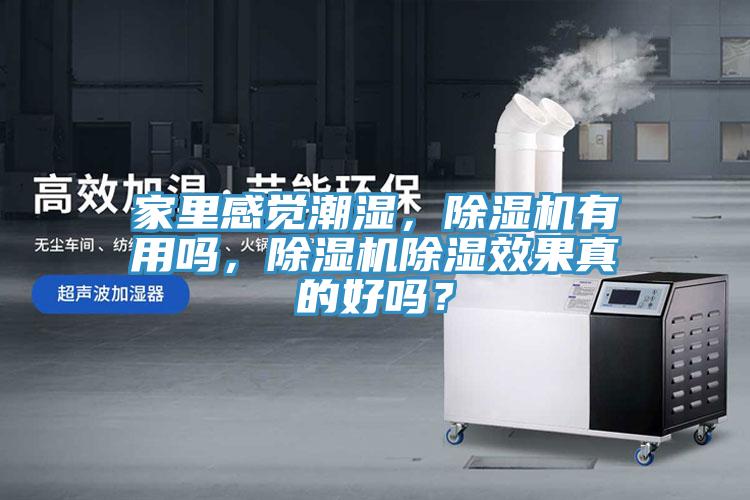 家里感覺潮濕，除濕機有用嗎，除濕機除濕效果真的好嗎？