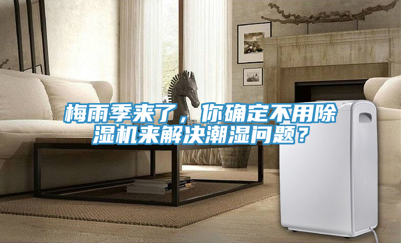梅雨季來了，你確定不用除濕機來解決潮濕問題？