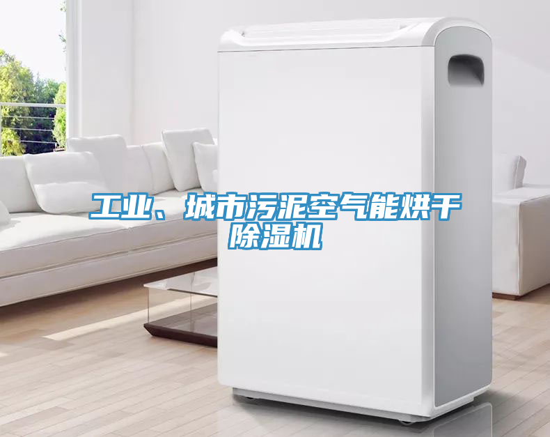 工業(yè)、城市污泥空氣能烘干除濕機(jī)