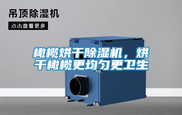 橄欖烘干除濕機(jī)，烘干橄欖更均勻更衛(wèi)生