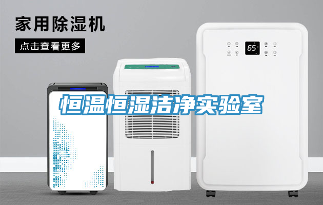 恒溫恒濕潔凈實(shí)驗室