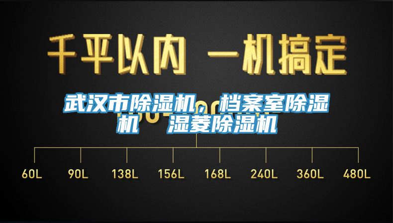 武漢市除濕機，檔案室除濕機  濕菱除濕機