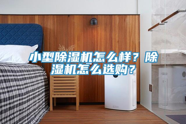 小型除濕機怎么樣？除濕機怎么選購？