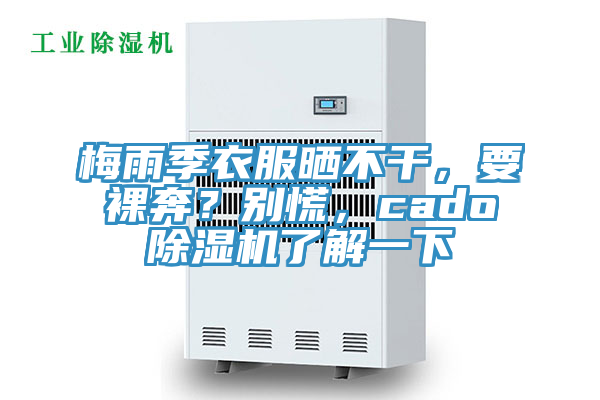 梅雨季衣服曬不干，要裸奔？別慌，cado除濕機了解一下