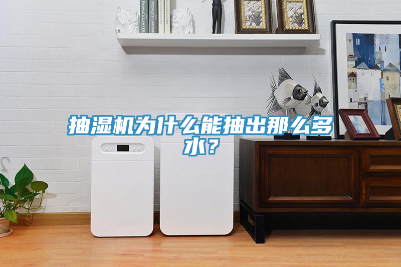 抽濕機(jī)為什么能抽出那么多水？