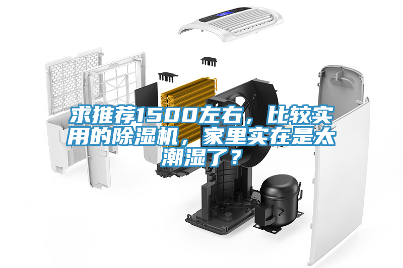 求推薦1500左右，比較實(shí)用的除濕機(jī)，家里實(shí)在是太潮濕了？