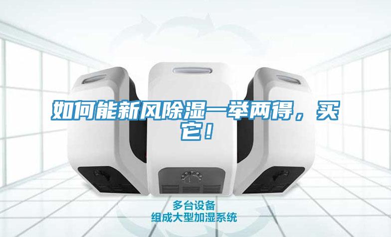 如何能新風(fēng)除濕一舉兩得，買它！