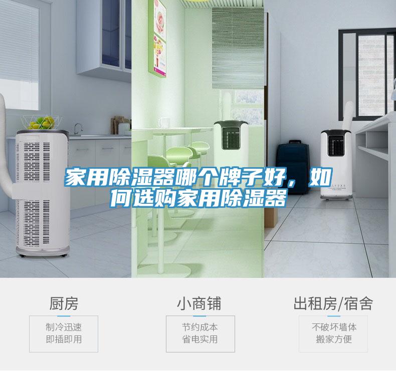 家用除濕器哪個牌子好，如何選購家用除濕器