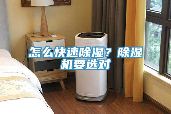怎么快速除濕？除濕機(jī)要選對(duì)