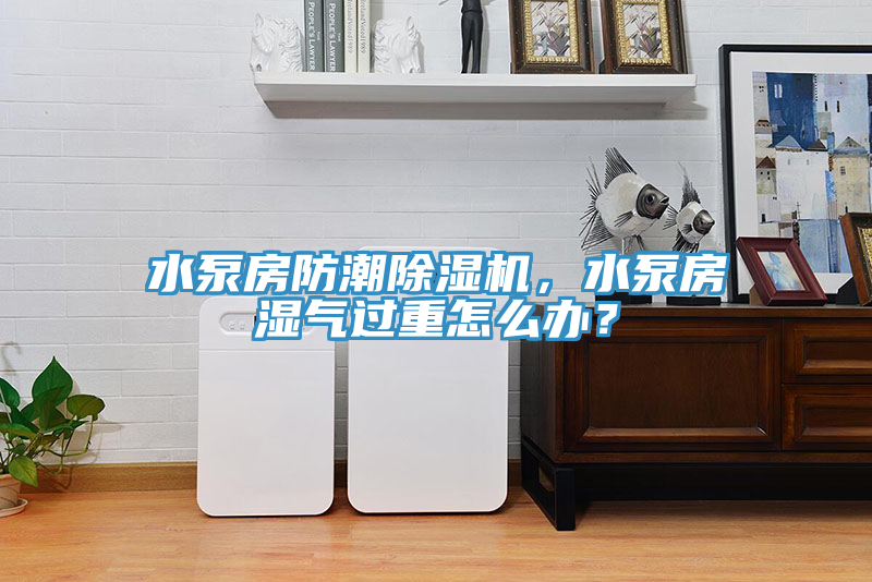 水泵房防潮除濕機(jī)，水泵房濕氣過重怎么辦？