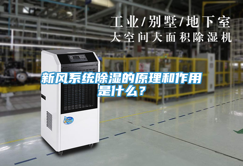 新風(fēng)系統(tǒng)除濕的原理和作用是什么？