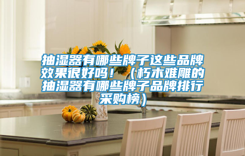 抽濕器有哪些牌子這些品牌效果很好嗎?。ㄐ嗄倦y雕的抽濕器有哪些牌子品牌排行采購榜）