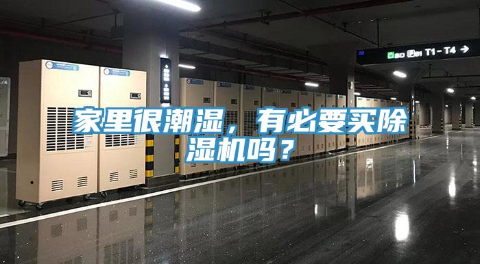 家里很潮濕，有必要買除濕機嗎？