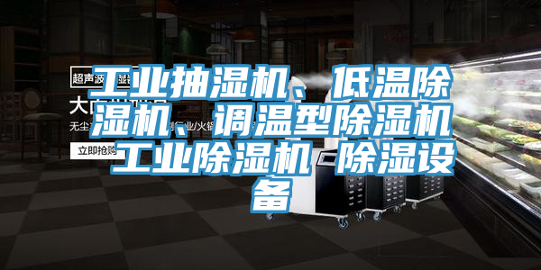 工業(yè)抽濕機(jī)、低溫除濕機(jī)、調(diào)溫型除濕機(jī) 工業(yè)除濕機(jī) 除濕設(shè)備