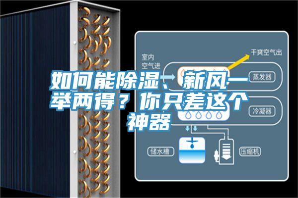 如何能除濕、新風(fēng)一舉兩得？你只差這個(gè)神器