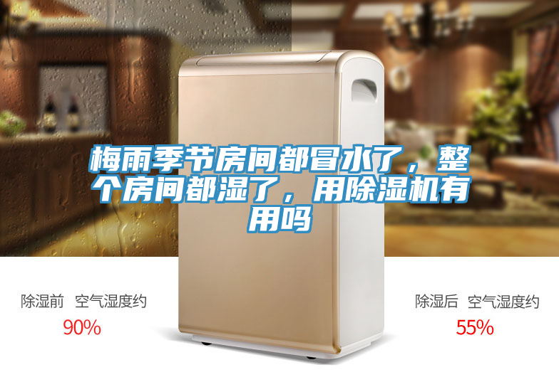 梅雨季節(jié)房間都冒水了，整個房間都濕了，用除濕機有用嗎