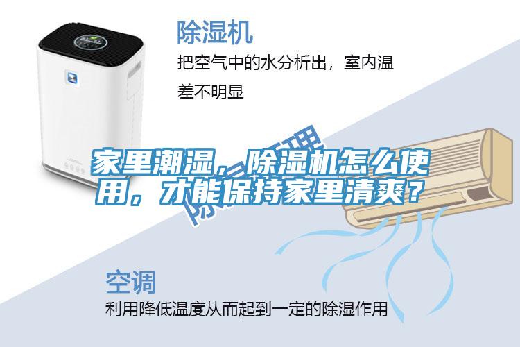 家里潮濕，除濕機怎么使用，才能保持家里清爽？