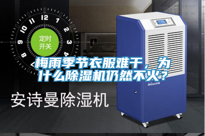 梅雨季節(jié)衣服難干，為什么除濕機仍然不火？