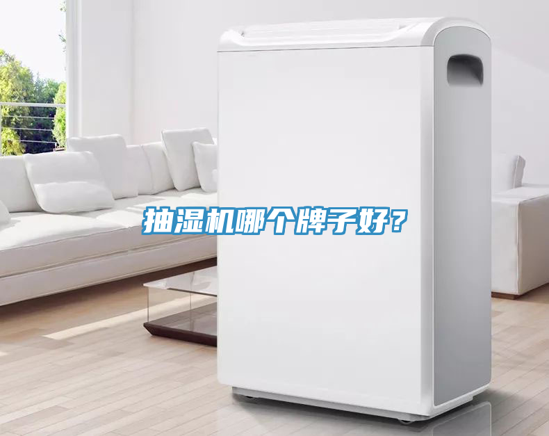 抽濕機(jī)哪個(gè)牌子好？