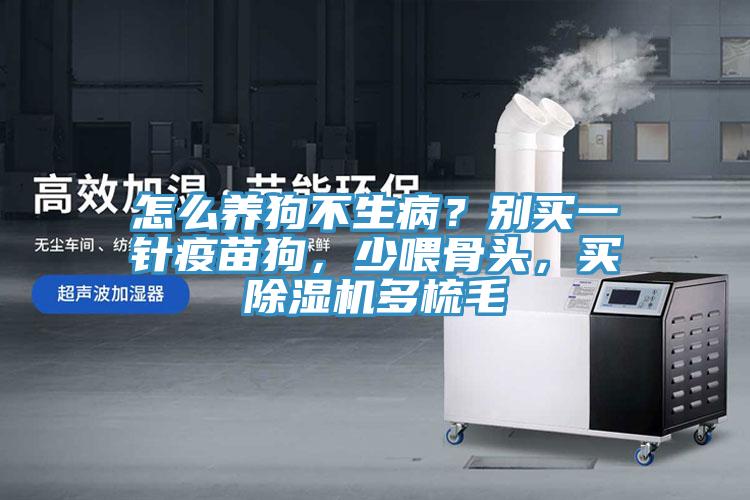 怎么養(yǎng)狗不生病？別買一針疫苗狗，少喂骨頭，買除濕機(jī)多梳毛