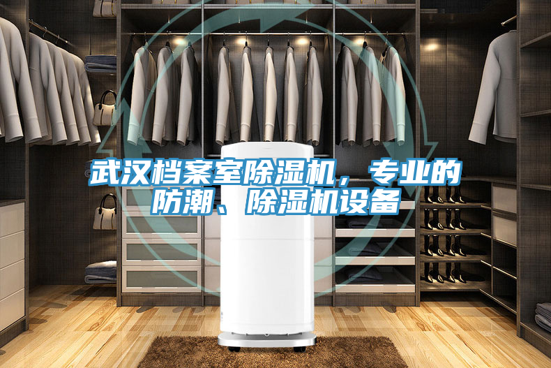 武漢檔案室除濕機，專業(yè)的防潮、除濕機設(shè)備
