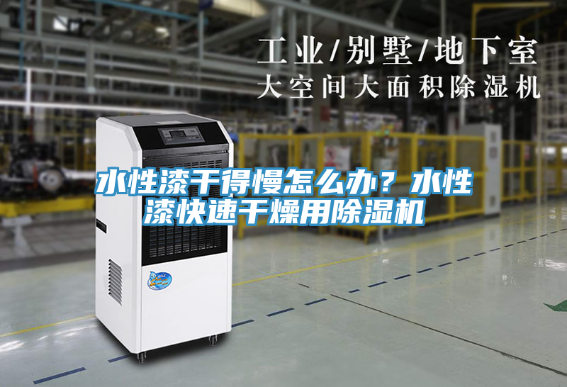 水性漆干得慢怎么辦？水性漆快速干燥用除濕機(jī)