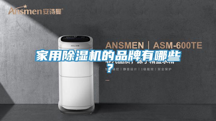 家用除濕機的品牌有哪些？