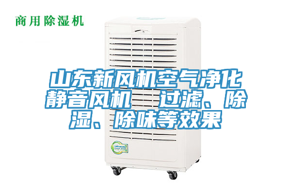 山東新風(fēng)機(jī)空氣凈化靜音風(fēng)機(jī)  過(guò)濾、除濕、除味等效果