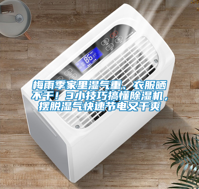 梅雨季家里濕氣重、衣服曬不干！3小技巧搞懂除濕機(jī)，擺脫濕氣快速節(jié)電又干爽