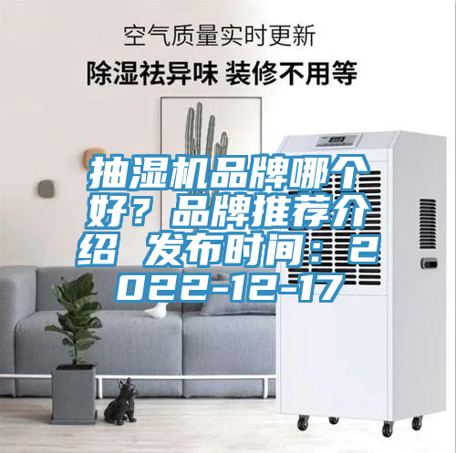 抽濕機(jī)品牌哪個(gè)好？品牌推薦介紹 發(fā)布時(shí)間：2022-12-17
