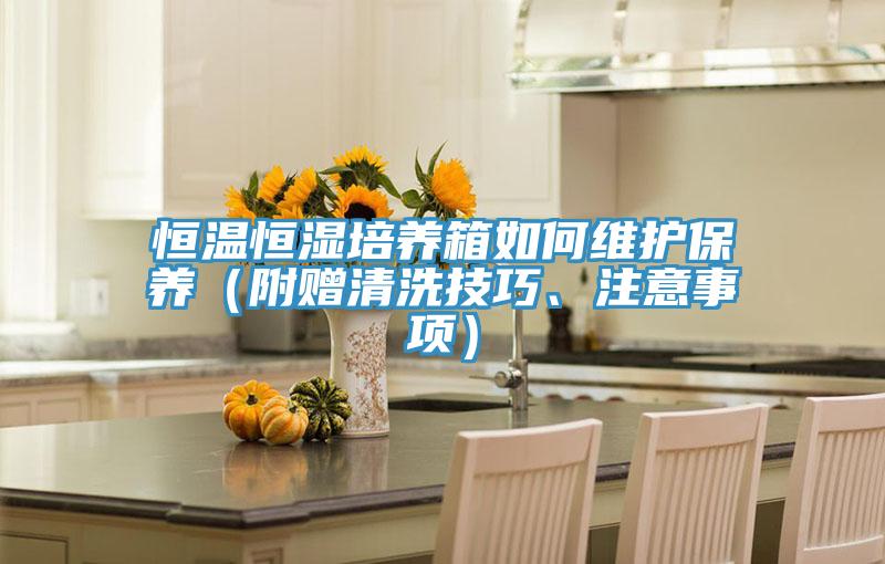 恒溫恒濕培養(yǎng)箱如何維護(hù)保養(yǎng)（附贈(zèng)清洗技巧、注意事項(xiàng)）