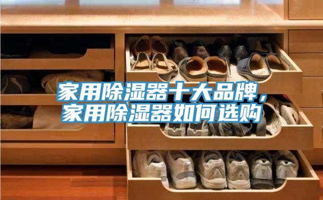 家用除濕器十大品牌，家用除濕器如何選購